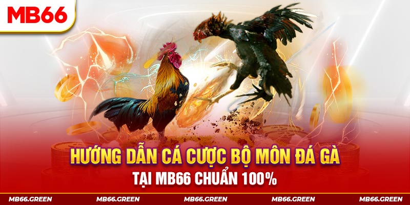 23win66 xổ số bình định