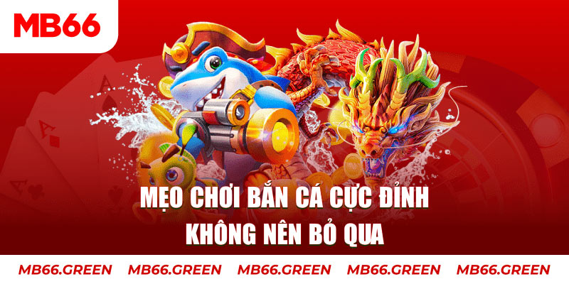 23win66 casino ở đâu