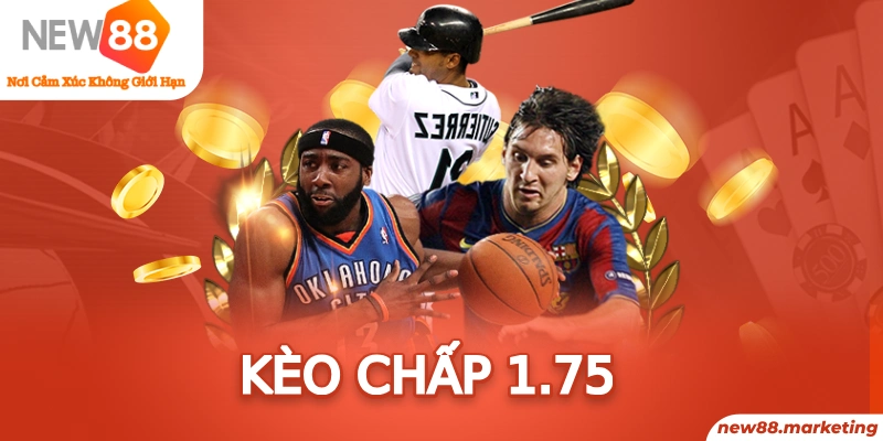 23win66 Ws168 Đá Gà