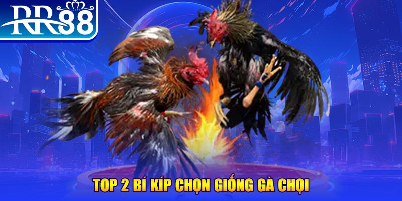 23win66 đăng nhập roulette dễ thắng