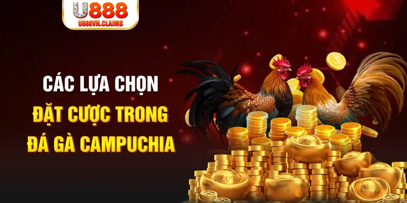 23win66 SW Xổ Số