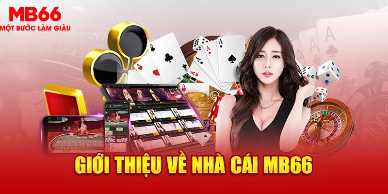 23win66 what is the best online casino for real money