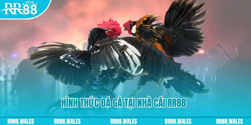 23win66 PS Điện Tử