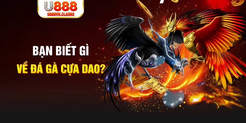 23win66 xổ số kiến thiết