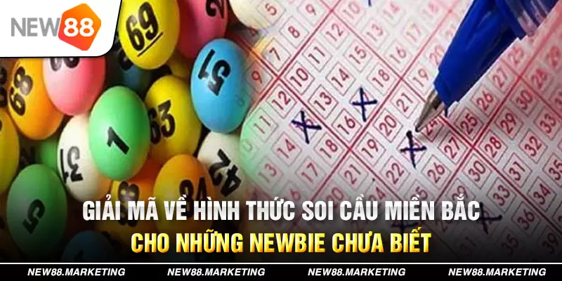 23win66 đăng nhập mậu binh live