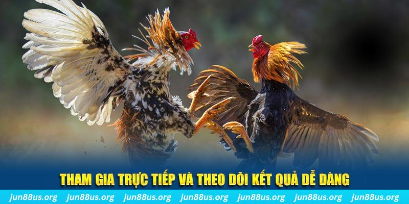 23win66 đá gà trực tiếp bình luận viên