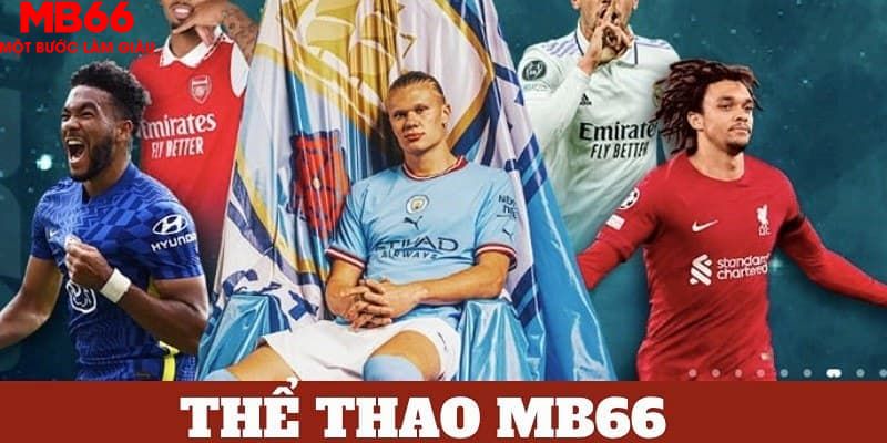 23win66 trực tiếp đá gà 67