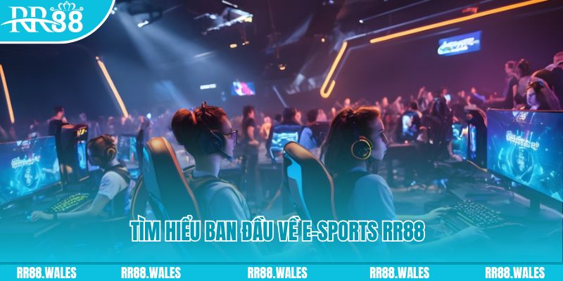 23win66 Đĩa màu ace