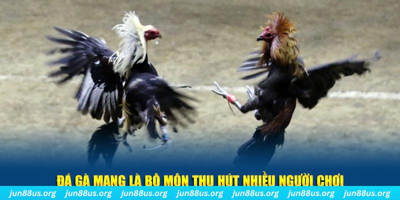 23win66 xổ số cà mau