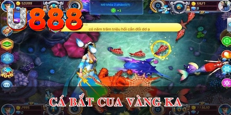 23win66 đăng nhập phỏm uy tín