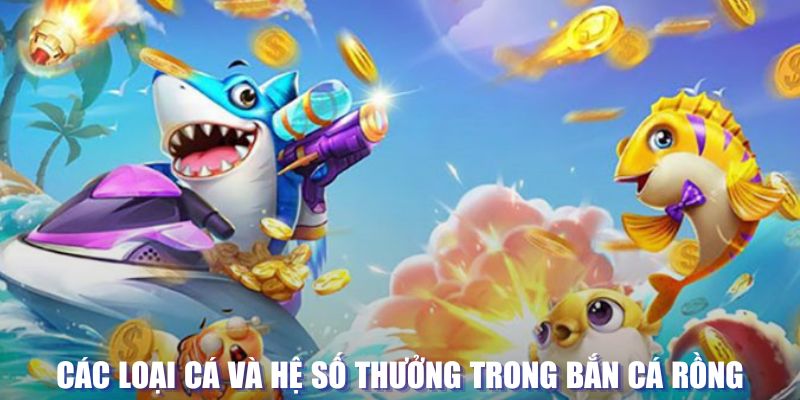 23win66 loi game dot kich ket noi may chu that bai