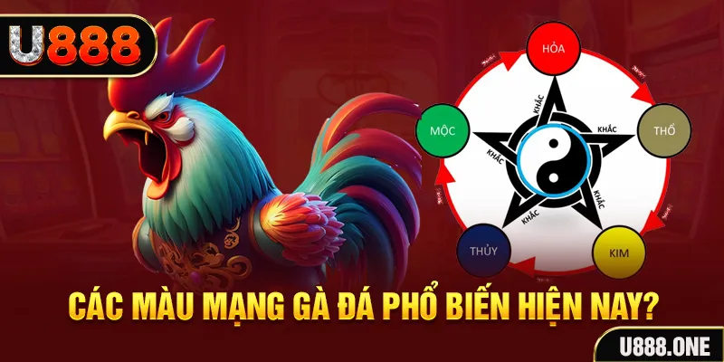 23win66 đăng nhập mậu binh