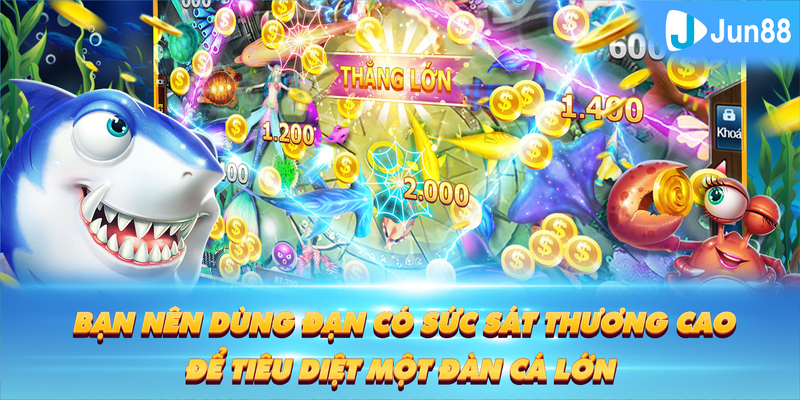 23win66 Tung Đồng Xu