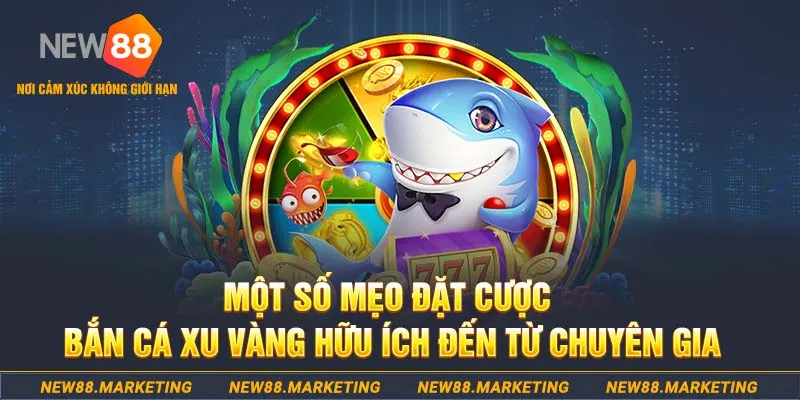 23win66 Tài Xỉu