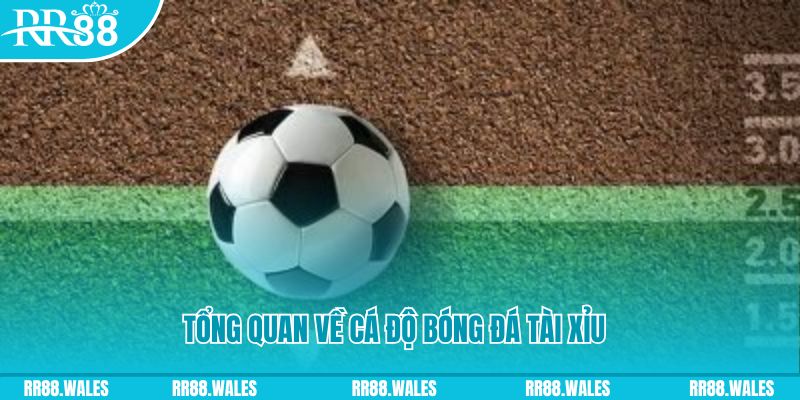 23win66 đăng nhập lô đề online