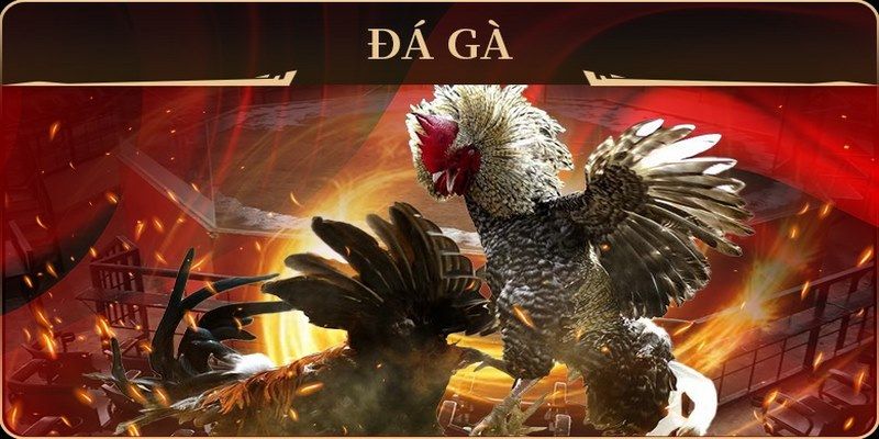 23win66 no hu doi thuong ai