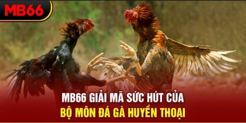 23win66 Phi Đội Ưu Tú