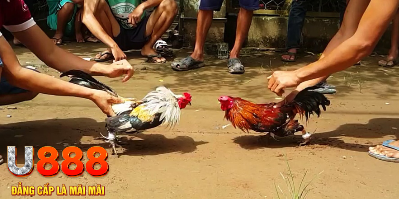 23win66 đăng nhập mậu binh rút tiền nhanh