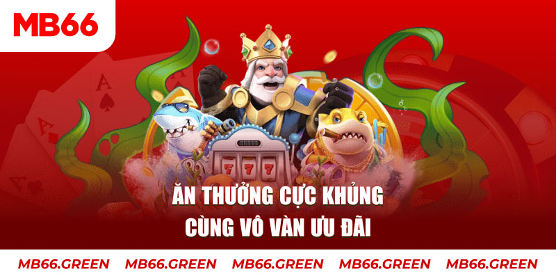 23win66 what is live dealer casino