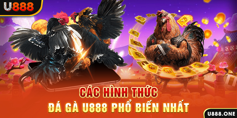23win66 DB Trực Tuyến