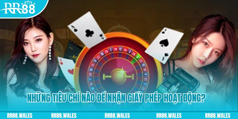 23win66 đăng nhập poker