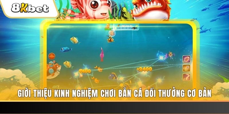 23win66 xổ số miền bắc thứ năm hàng tuần