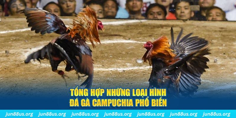 23win66 ON Trực Tuyến