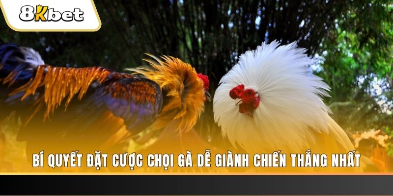 23win66 Tài Xỉu 2