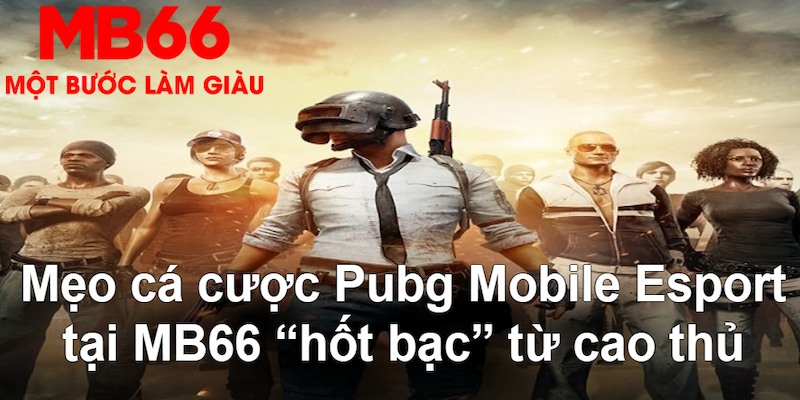23win66 gà chọi mộc hóa