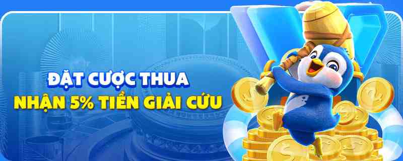 23win66 gà chọi cu cần