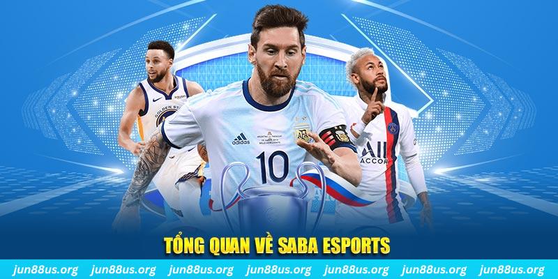 23win66 gà chọi c1 tv trực tiếp hôm nay