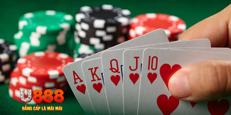 23win66 trực tiếp đá gà